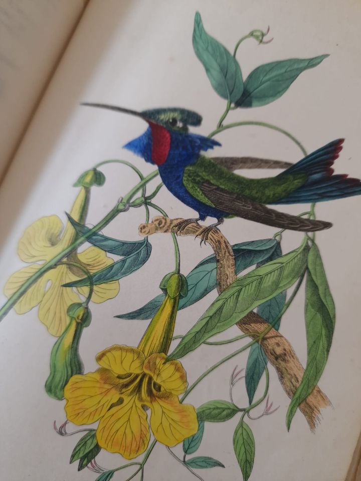 351139305_1223691378287107_5992786137248030450_n