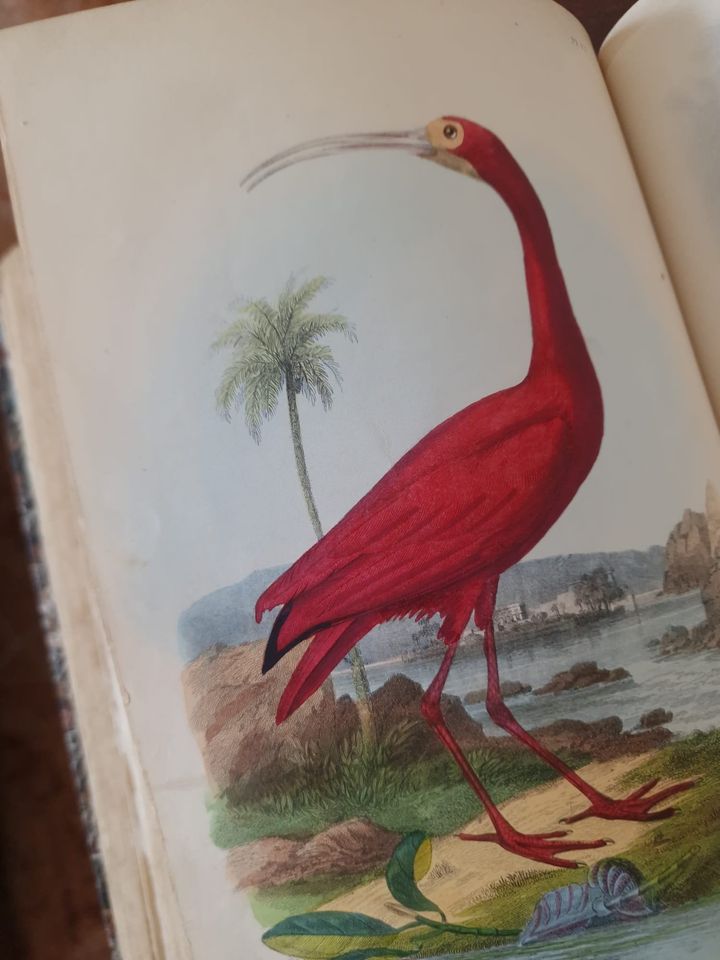 351140482_1383344835542115_3529170766782647138_n