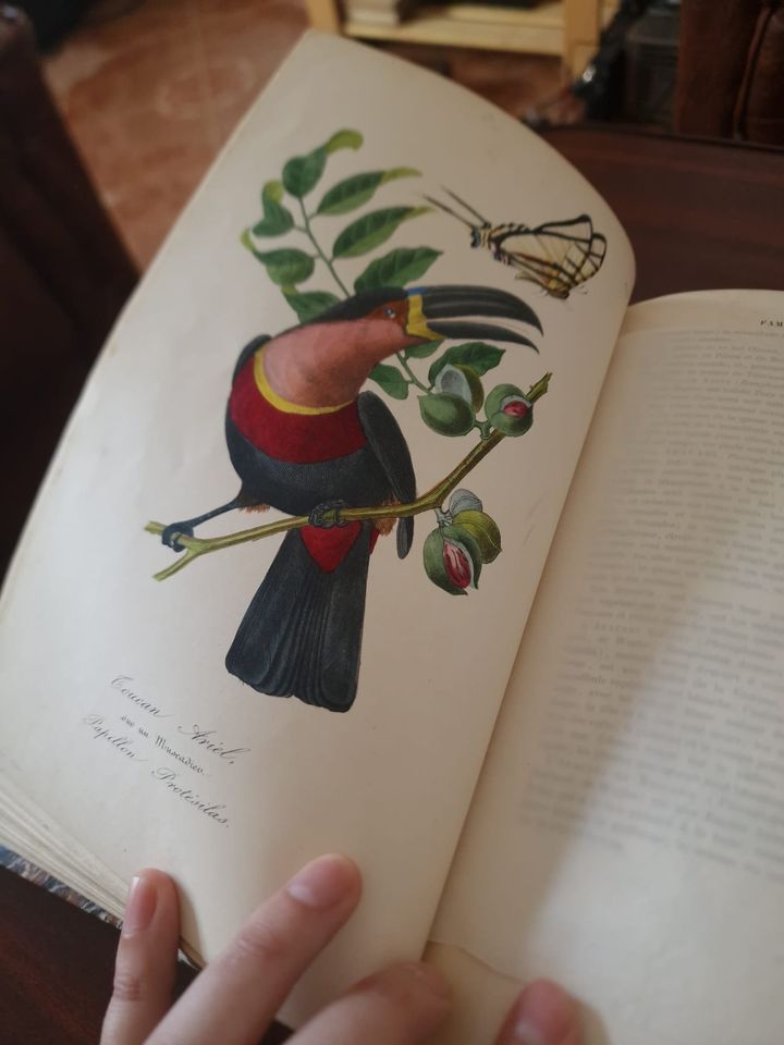 351157001_1294067324820581_5221833093898116010_n