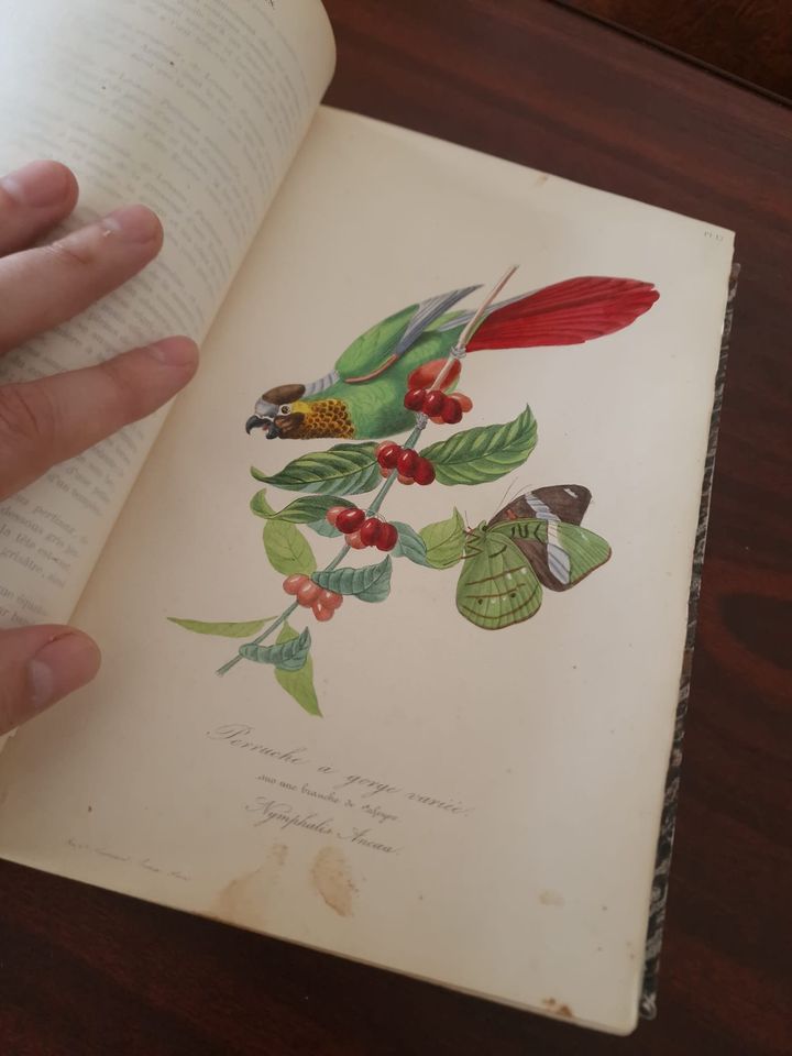 351302908_262426276363516_9021417295978588830_n