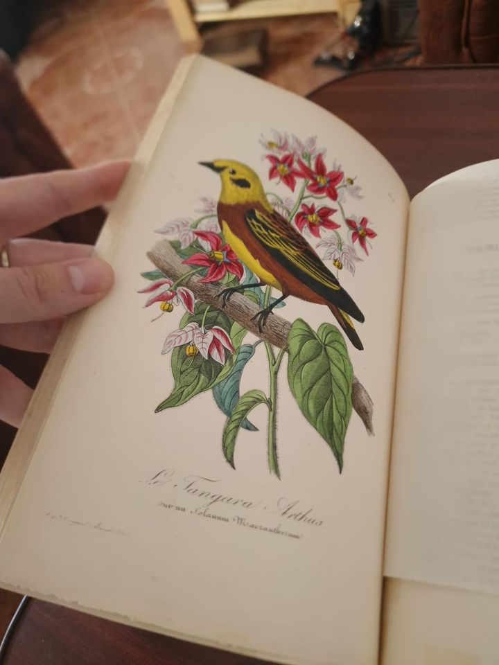 351305183_1285316202377869_4008595768016635279_n