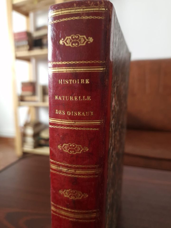 351305183_278334701224440_2327007754530298395_n