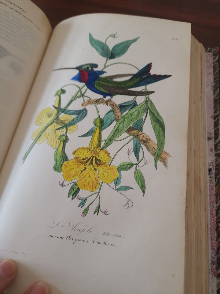 351317998_992548335507045_5309594768256963321_n