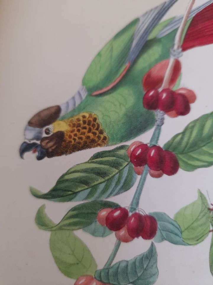 351320381_951309076188048_1481673865709393013_n