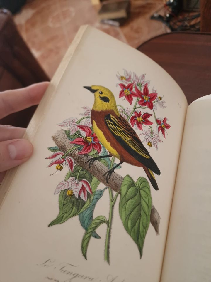 351338803_800399121500481_7414264831076364490_n