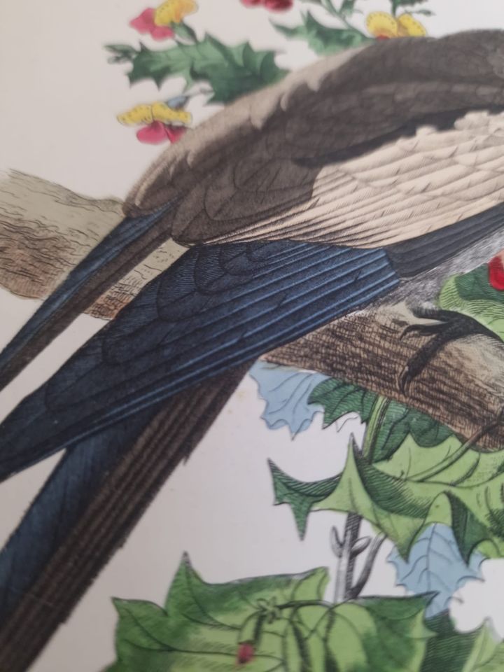 351828617_567398745582145_2268632635775575412_n