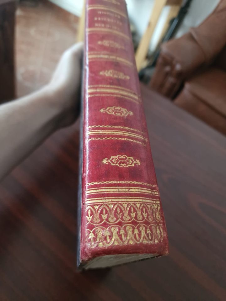 352059737_1068156284152235_4601921867069348485_n