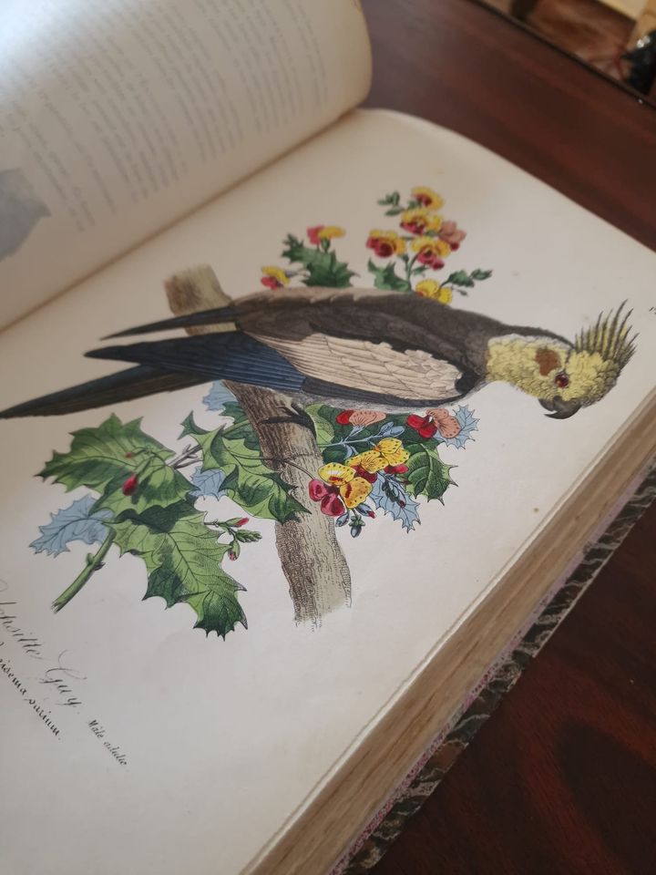 352234991_1323289251868229_6476341521760754659_n