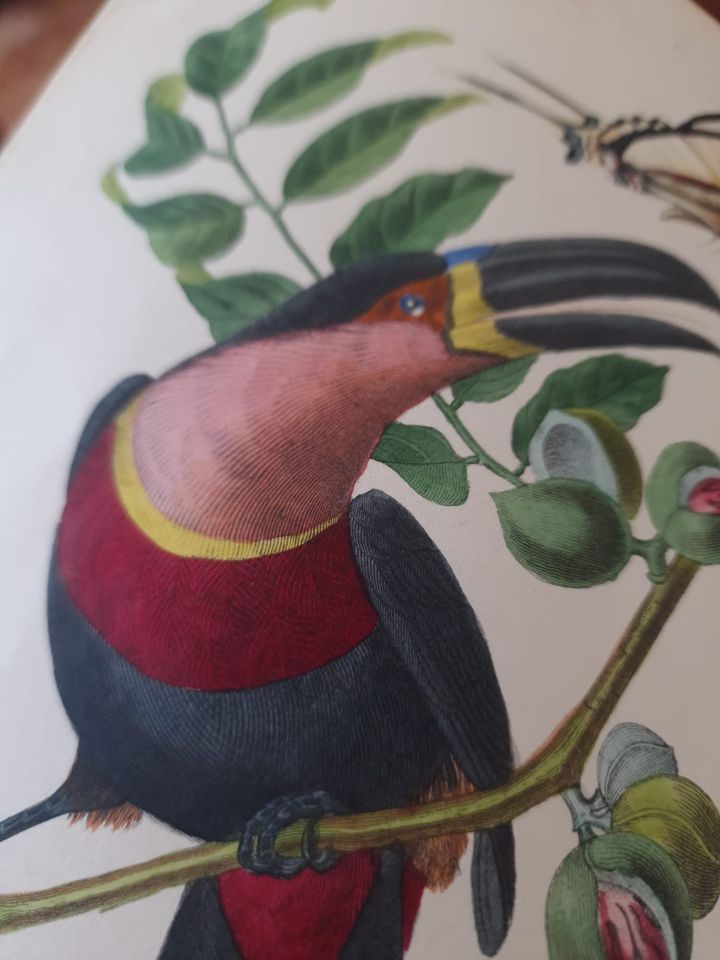 352534422_976933043665028_3260484384954561840_n