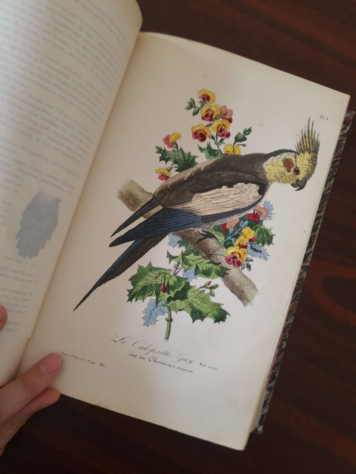 352542199_271169835395411_1882994771303582410_n