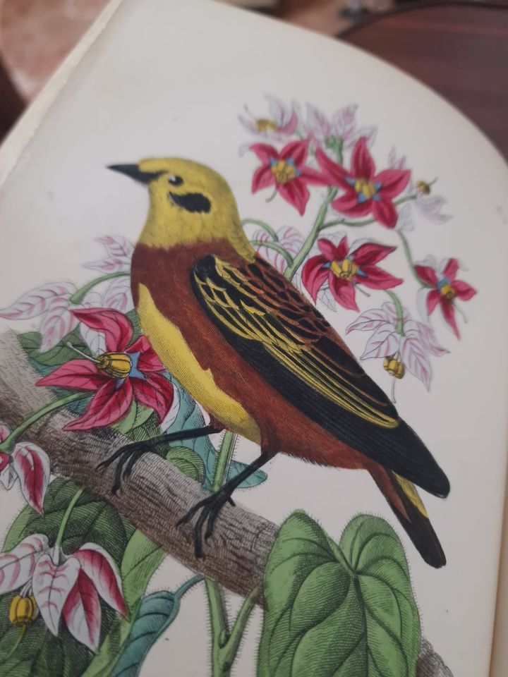 352561937_968654817789709_5206329570544383405_n