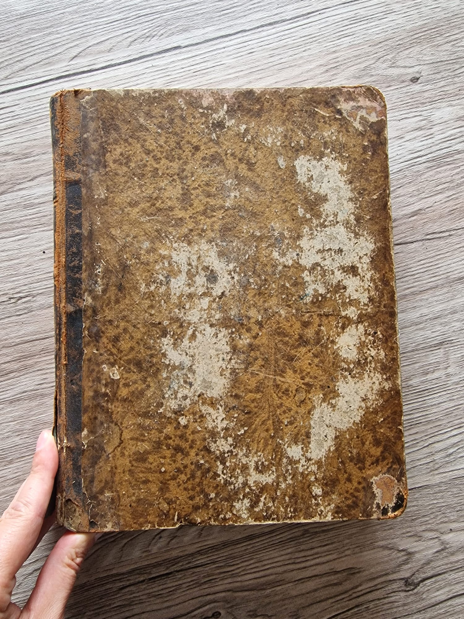 WhatsApp Image 2025-07-11 at 17.41.32 (2)