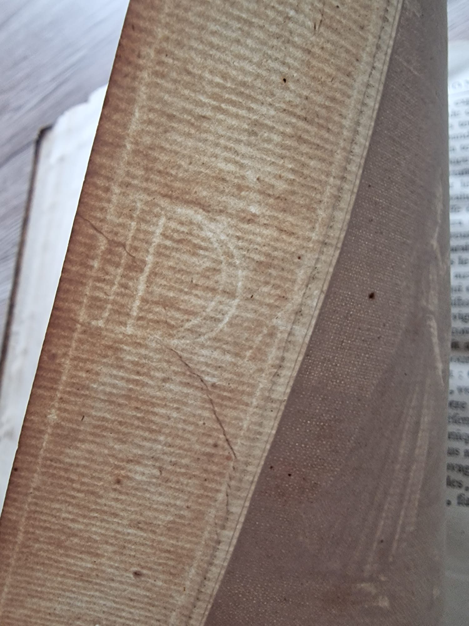 WhatsApp Image 2025-07-11 at 17.41.34 (3)