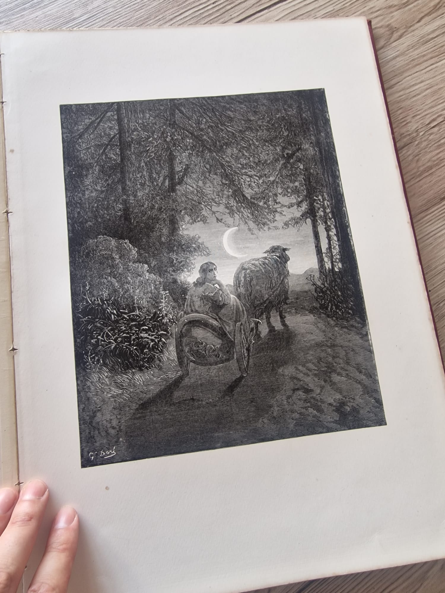 WhatsApp Image 2025-08-05 at 15.33.03 (13)