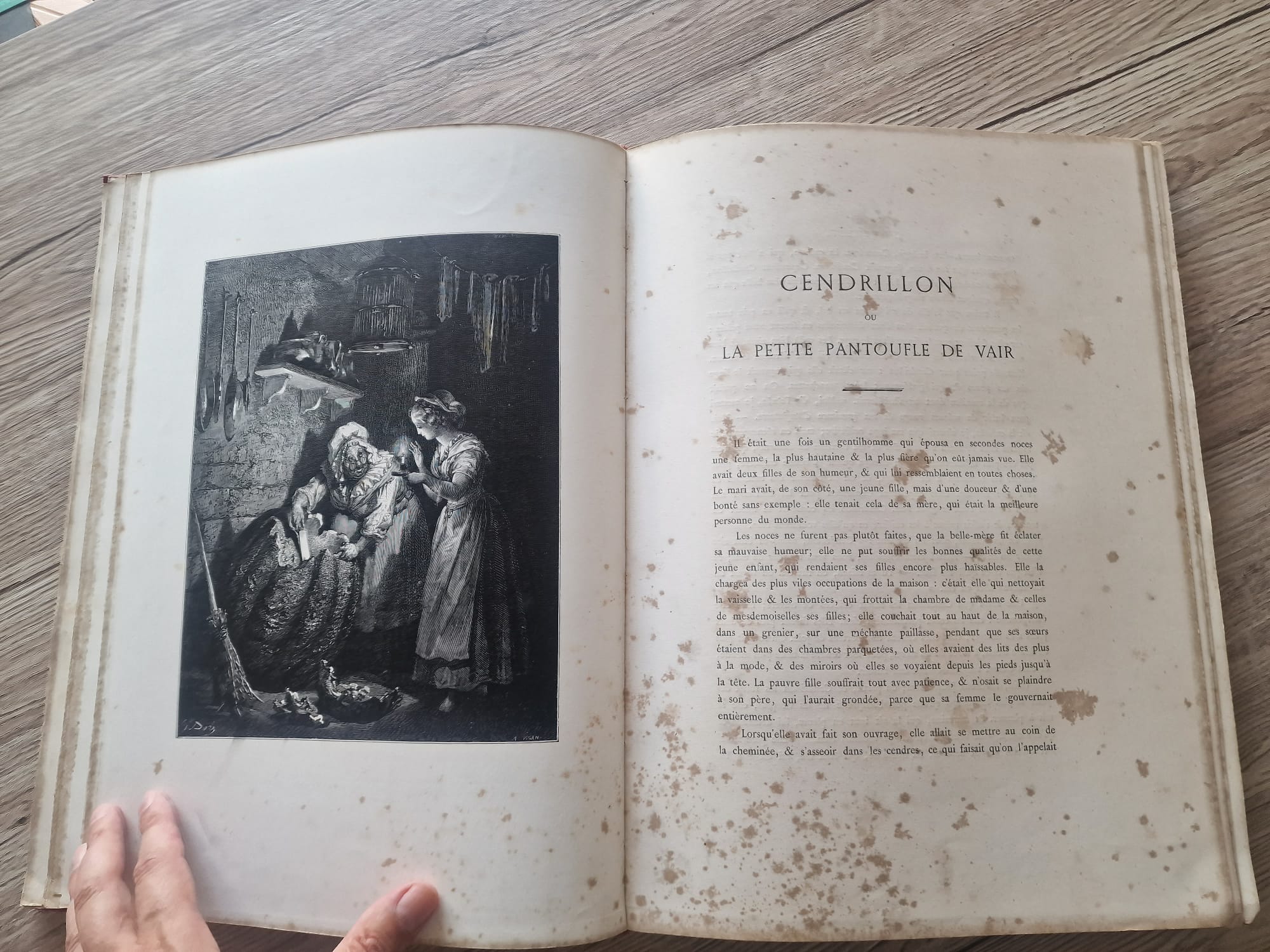 WhatsApp Image 2025-08-05 at 15.33.03 (7)