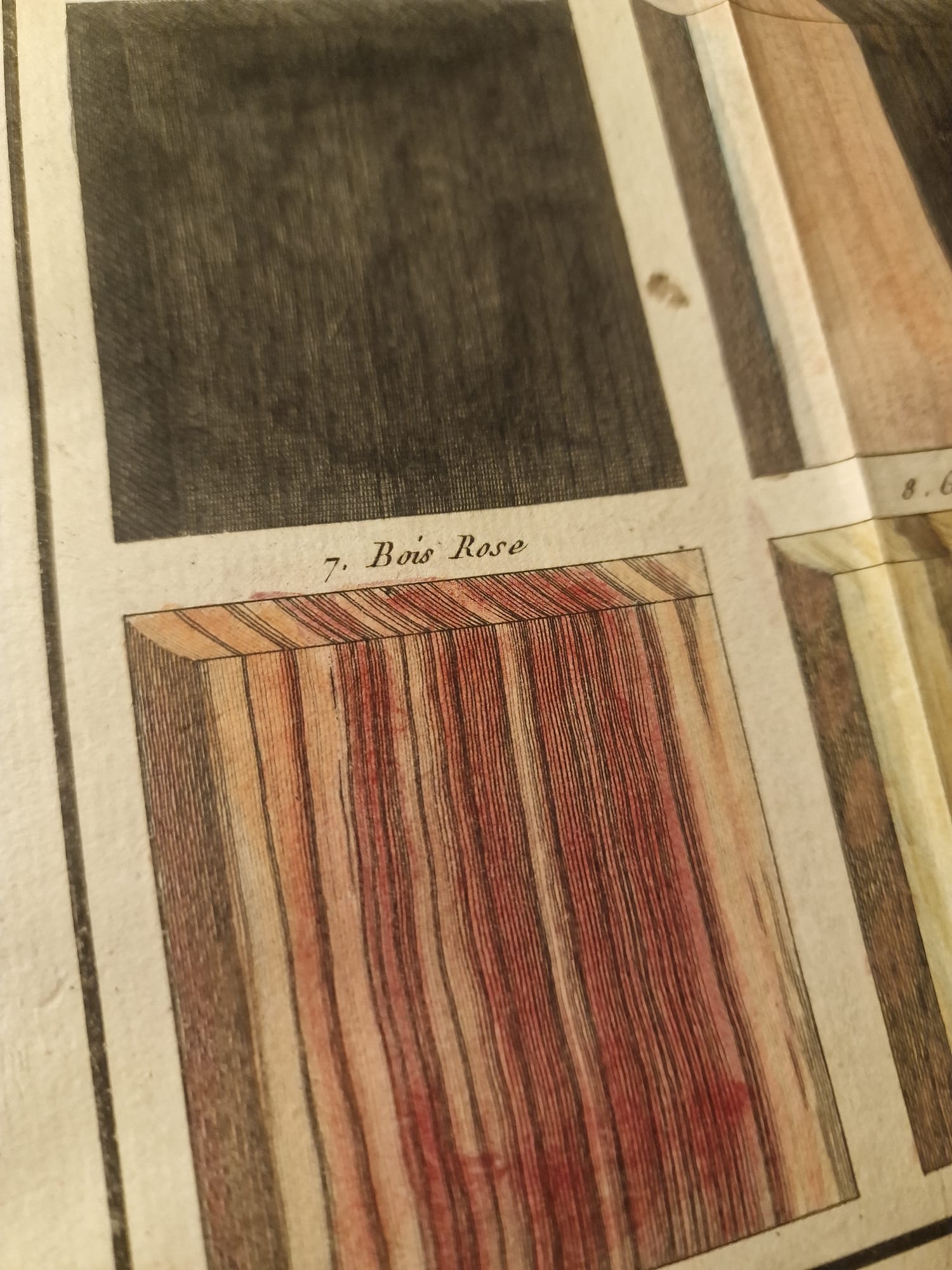 WhatsApp Image 2025-09-23 at 12.47.57 (10)