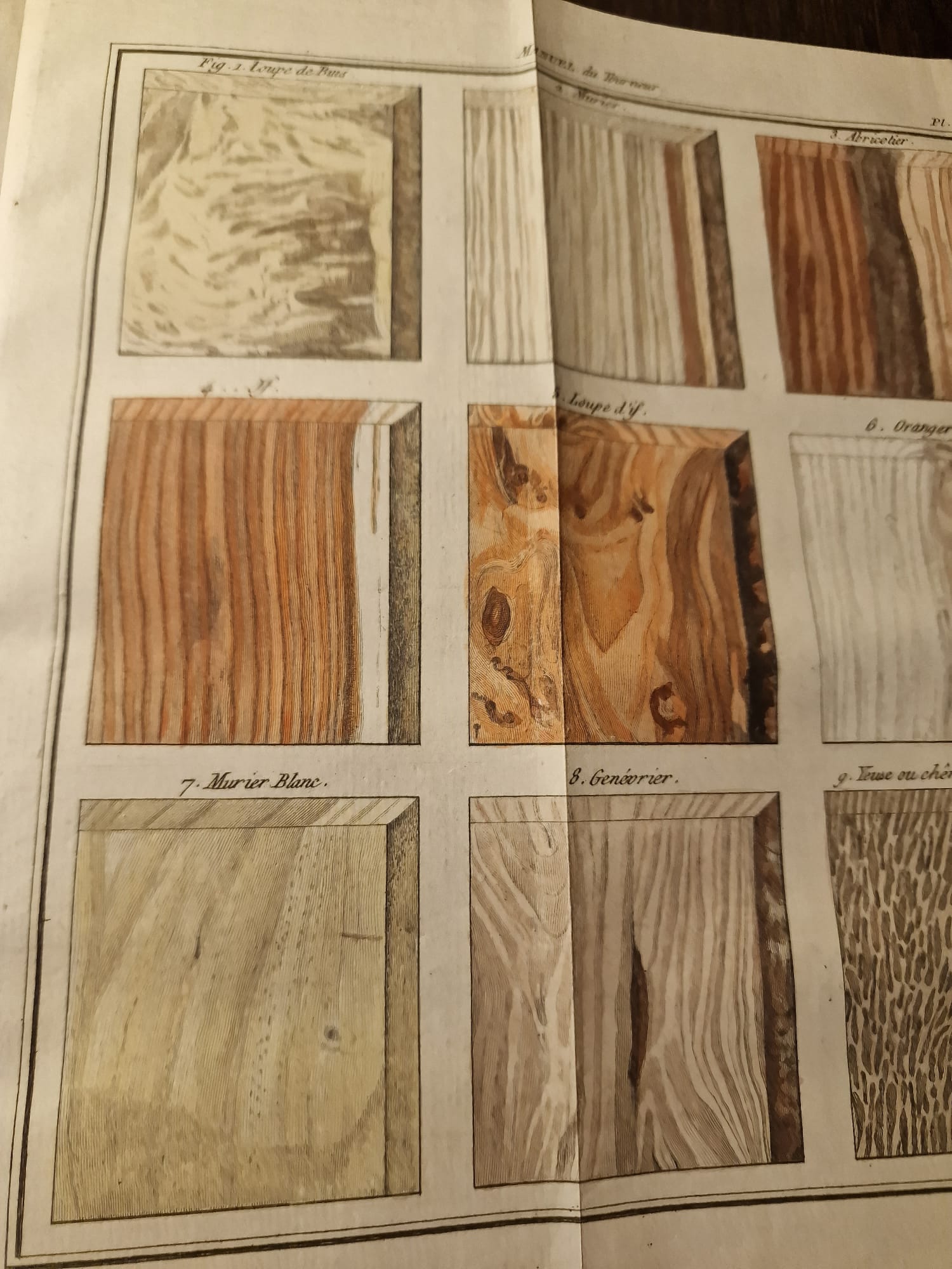 WhatsApp Image 2025-09-23 at 12.47.57 (8)