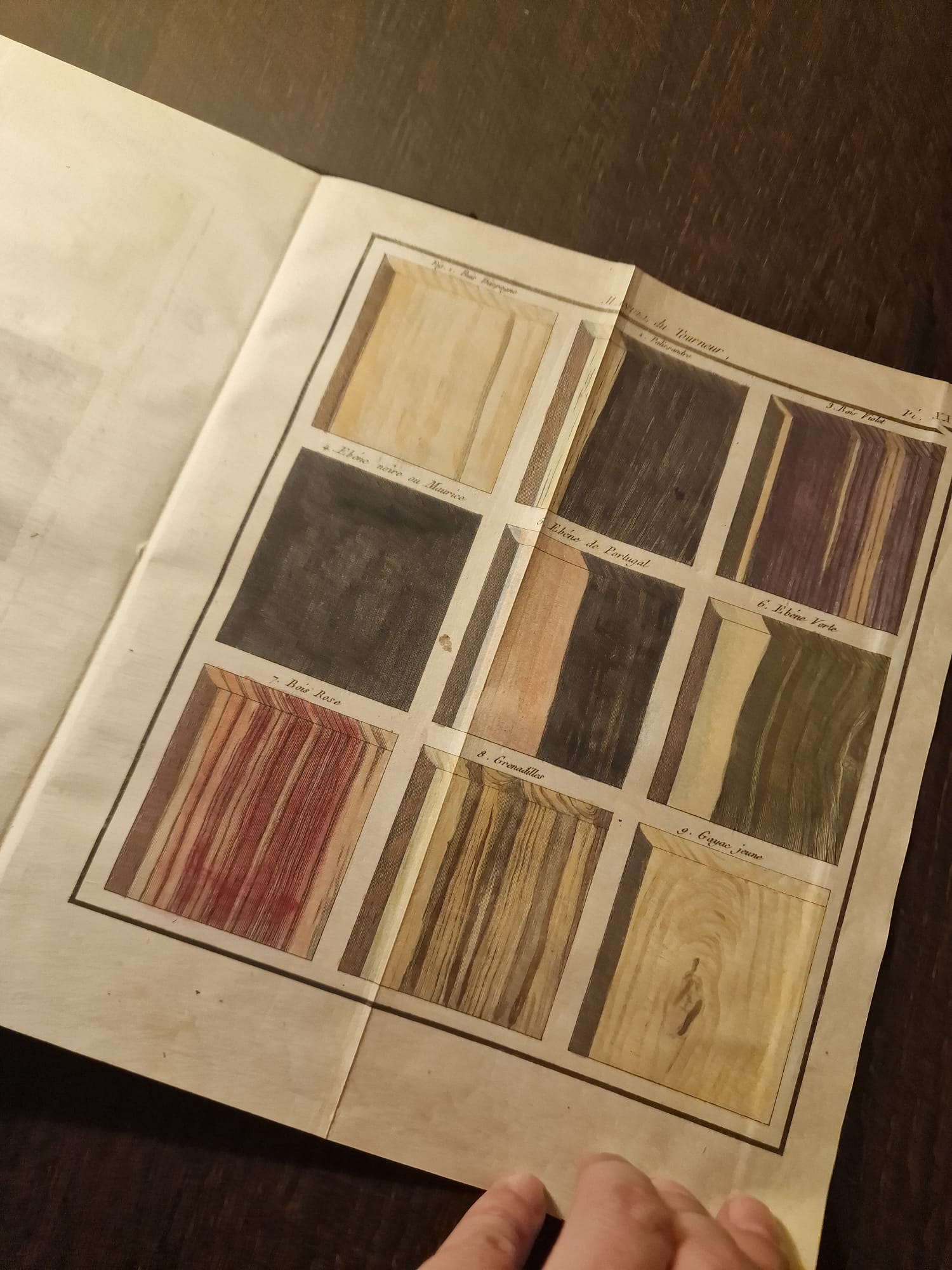 WhatsApp Image 2025-09-23 at 12.47.57 (9)