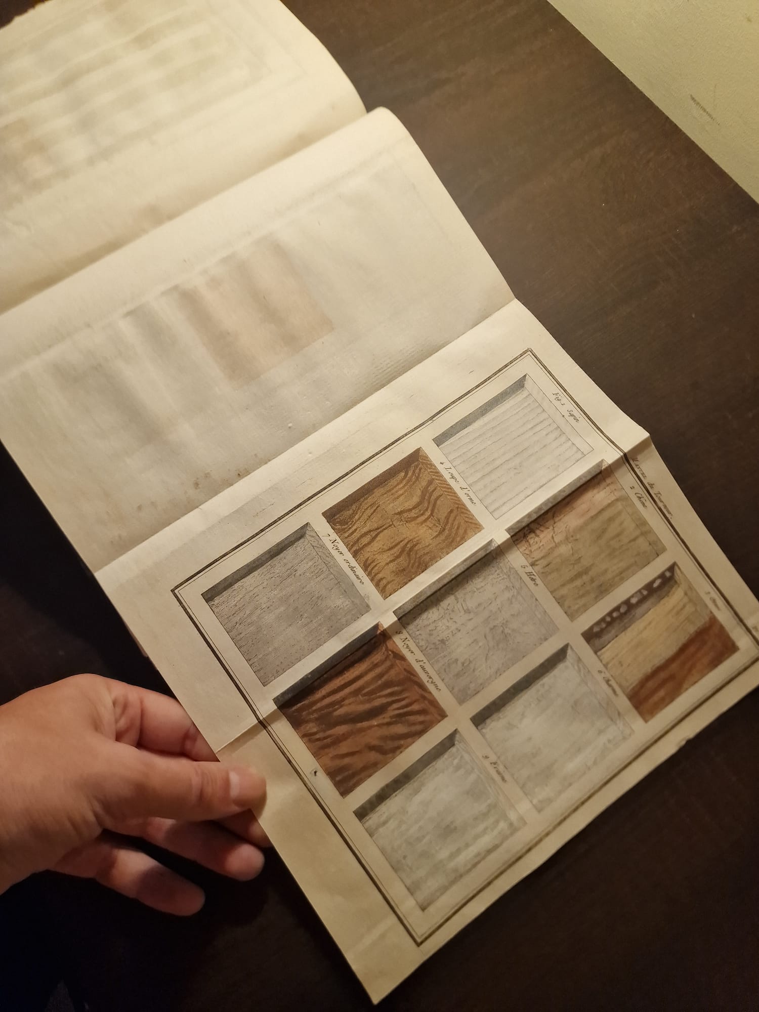 WhatsApp Image 2025-09-23 at 12.47.57