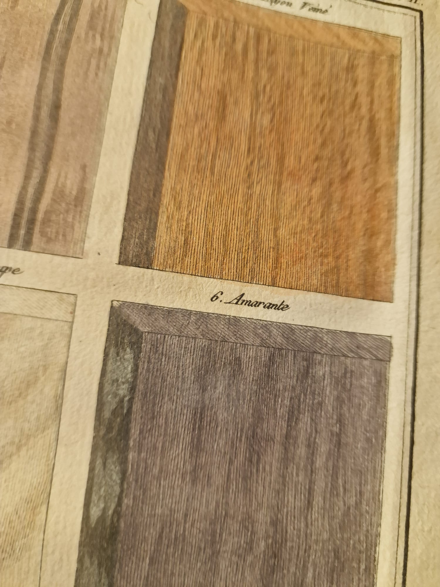 WhatsApp Image 2025-09-23 at 12.47.58 (1)