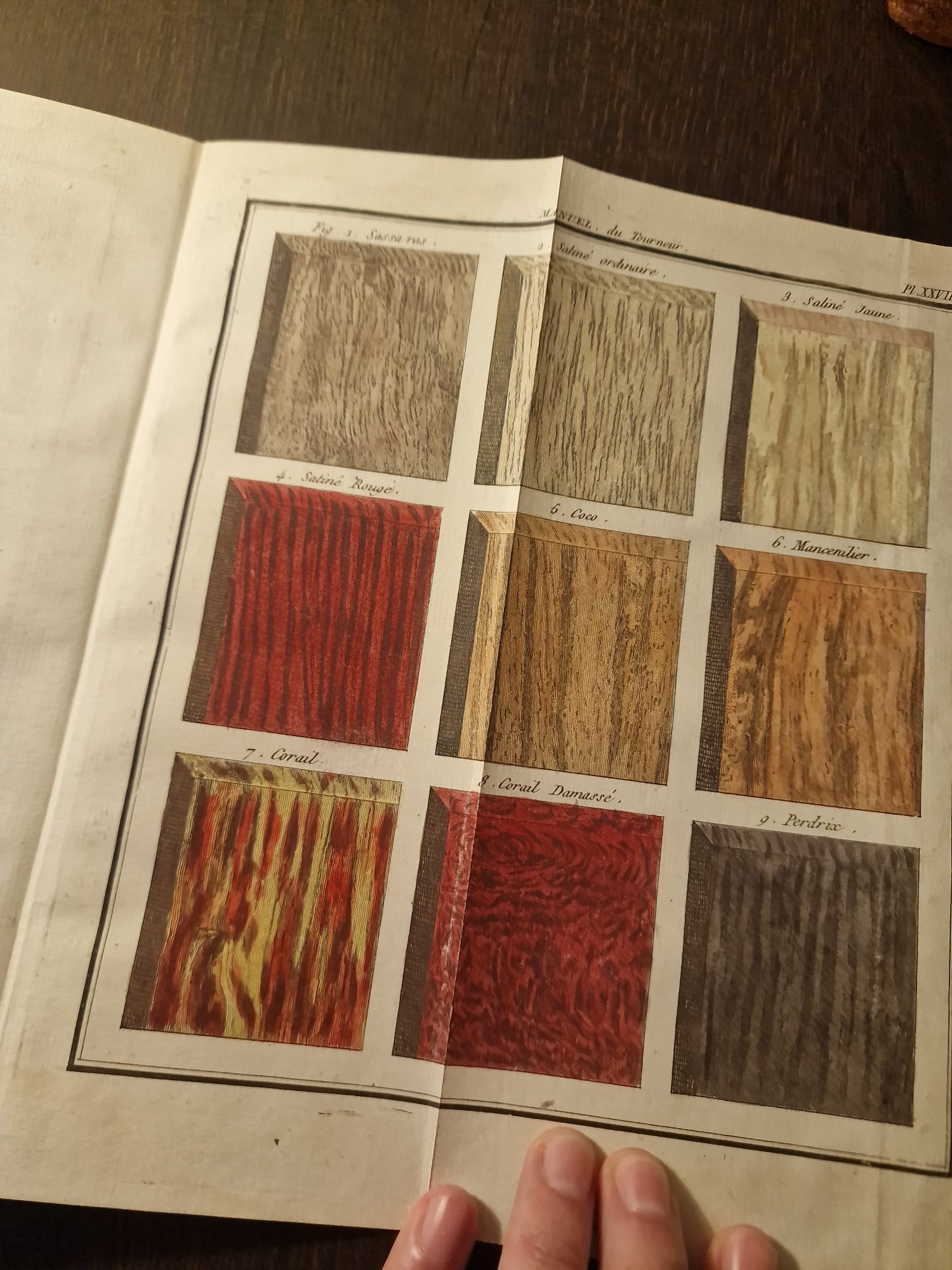 WhatsApp Image 2025-09-23 at 12.47.58 (2)