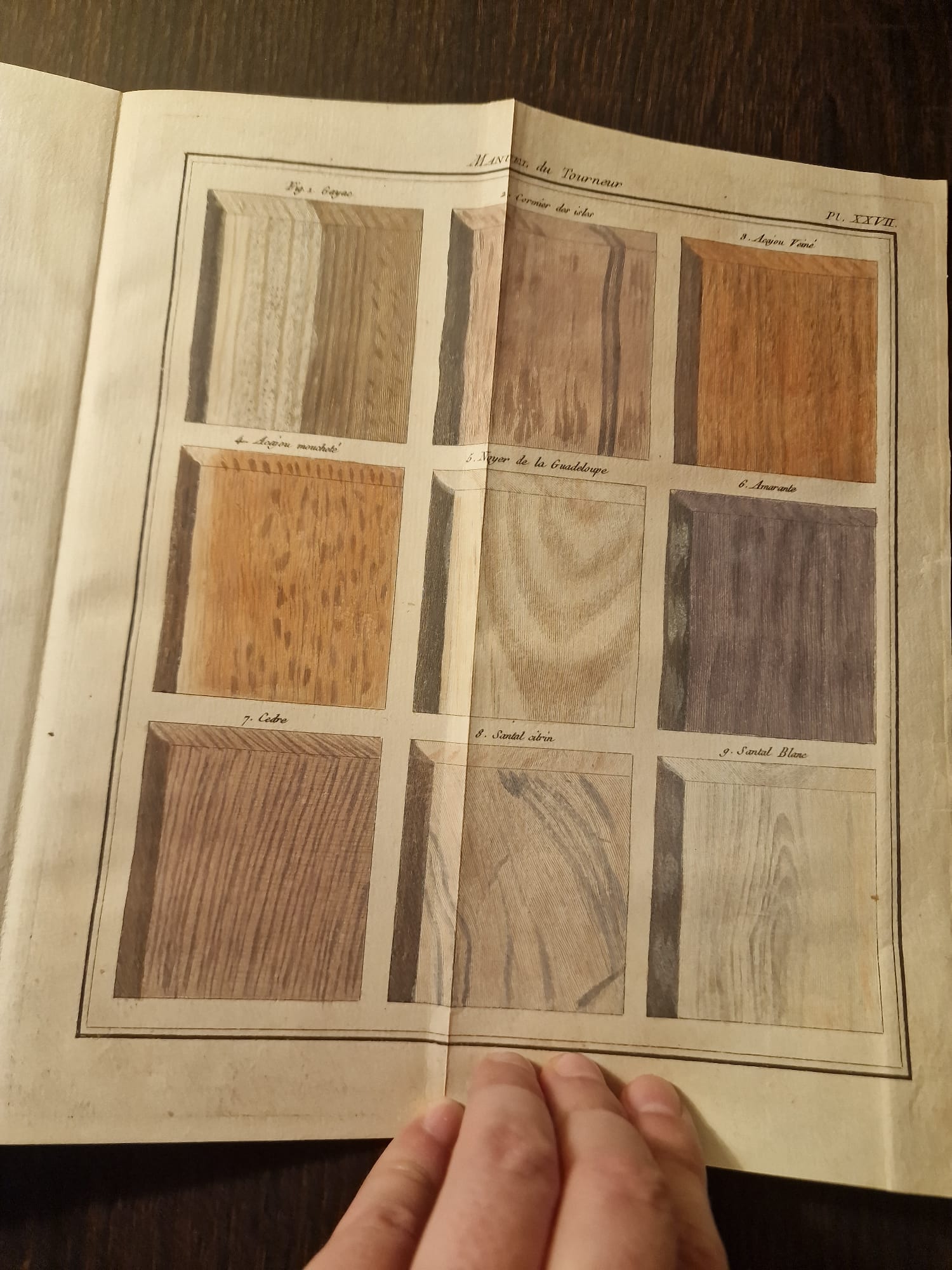 WhatsApp Image 2025-09-23 at 12.47.58