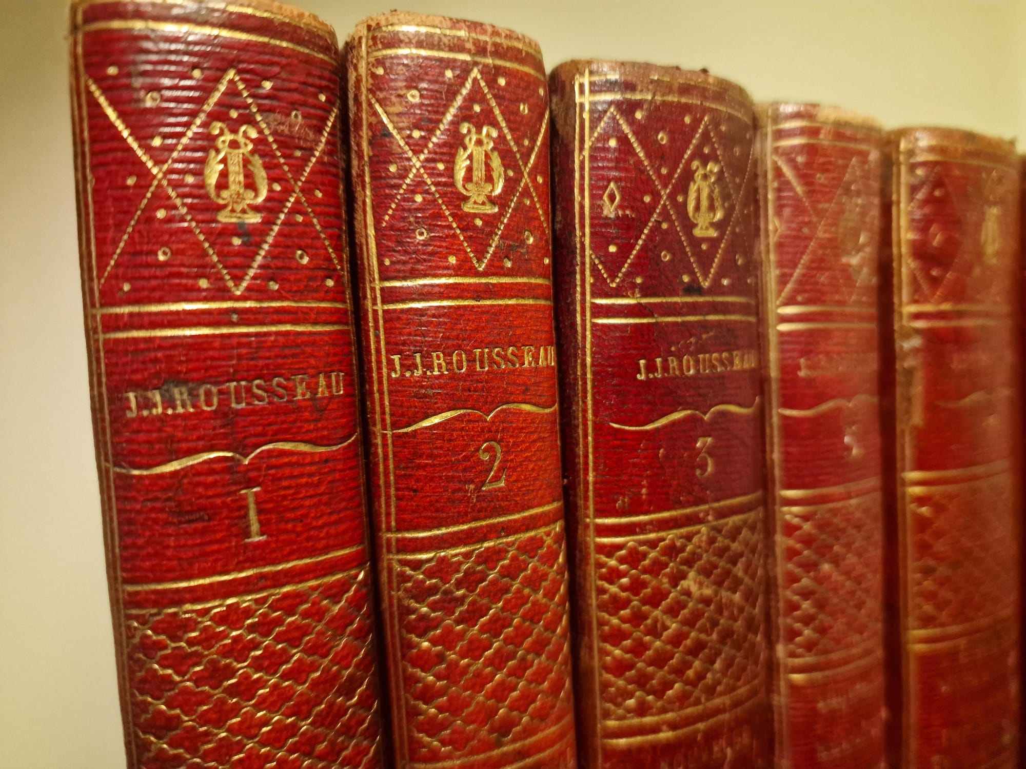 WhatsApp Image 2025-11-13 at 11.30.41 (1)