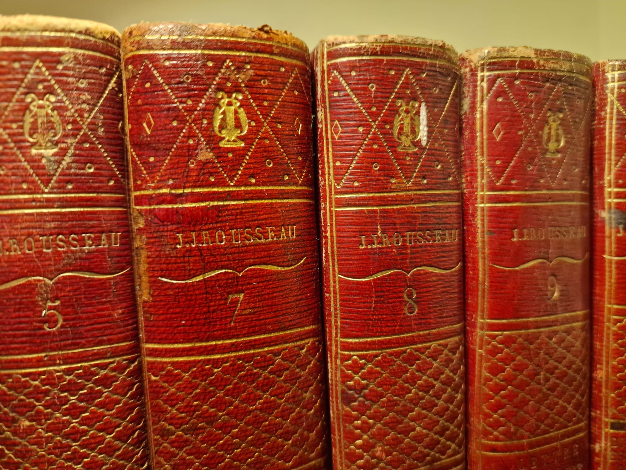 WhatsApp Image 2025-11-13 at 11.30.42