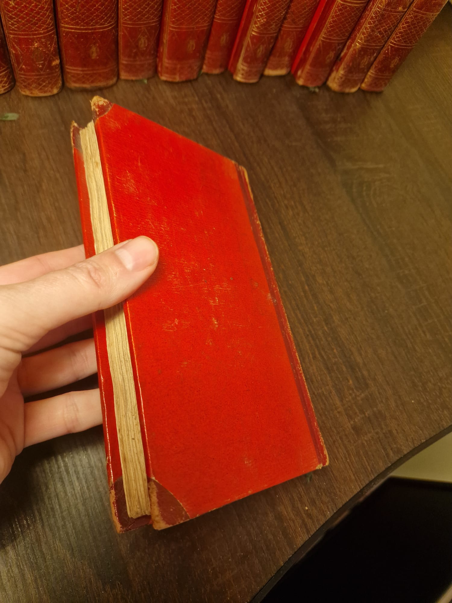 WhatsApp Image 2025-11-13 at 11.30.55 (12)